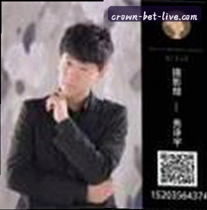 陈磊